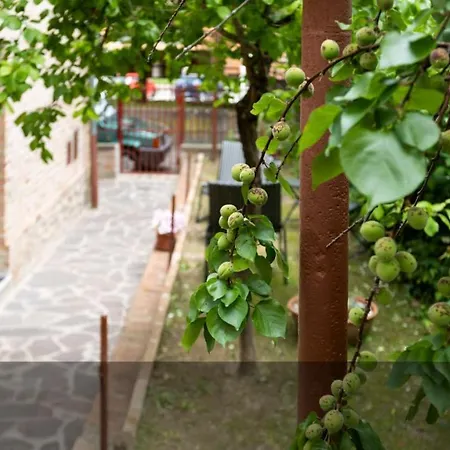 Via Del Toppo, 4 페루자